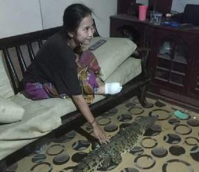 Seorang Siswi di Inhil Diterkam Buaya Saat Berada di Toilet Rumah